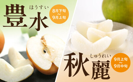 【2026年9月～発送】長崎県産 朝採り旬の梨 約5kg 12玉～15玉 / 梨 ナシ なし フルーツ 果物 / 大村市 / 産直松吉 [ACZC007]
