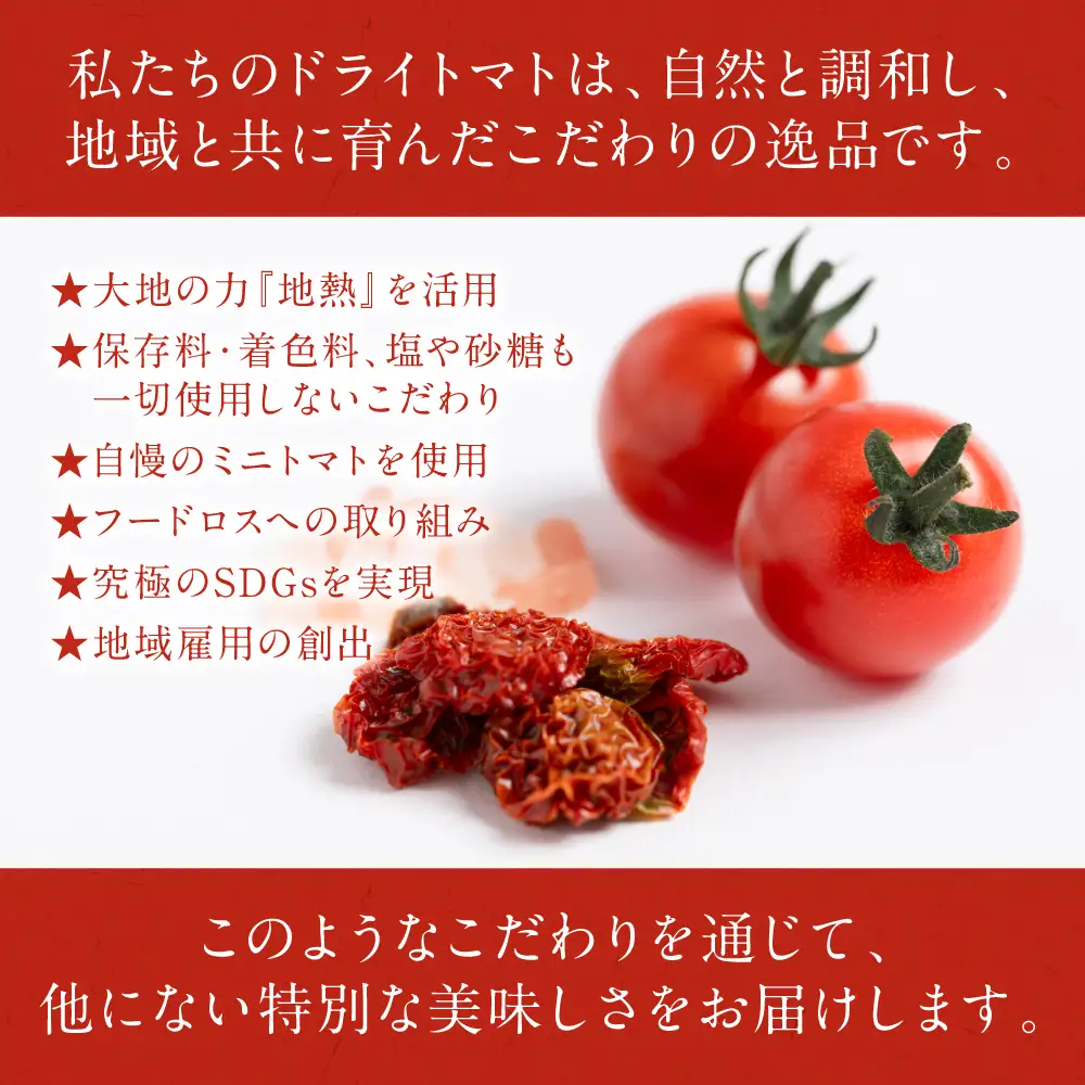 地熱ドライトマト 30g×2袋 トマト 栄養豊富 甘い 美味しい 濃厚 熊本県産 