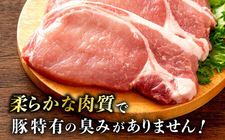 一貴山豚 ロースとんかつ・トンテキ用 計960g(120g×8枚) 糸島市 / いきさん牧場 豚肉 冷凍 [AGB031]