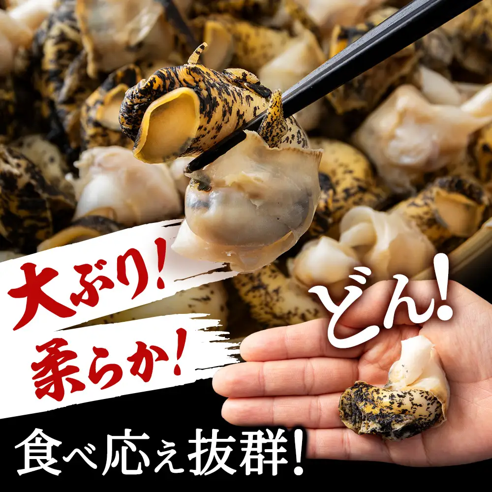 北海道産 ボイルむき灯台つぶ 1kg ＜小田切水産＞ AM111