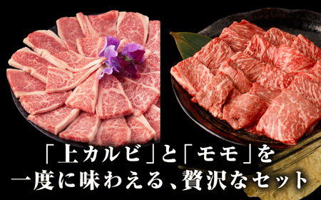 【A4～A5ランク】長崎和牛 焼肉用 モモ・上カルビ 総計900g《壱岐市》【野中精肉店】 牛 牛肉 和牛 赤身 焼肉 焼き肉 カルビ BBQ バーベキュー 食べ比べ ギフト 贈答用 冷凍配送 A4 A5 [JGC011]