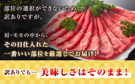 【訳あり】【A4～A5ランク】 長崎和牛 赤身 霜降り しゃぶしゃぶ・すき焼き用 400g（肩・モモ）《壱岐市》【株式会社MEAT PLUS】 肉 牛肉 黒毛和牛 鍋 ご褒美 冷凍配送 訳あり しゃぶしゃぶ用 すき焼き用 すき焼用 A4 A5 [JGH014]