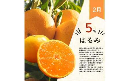 定期便 【全3回】紀州和歌山産旬のフルーツ定期便  田村みかん はるみ 不知火【tkb376】