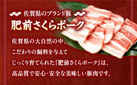 【定期便】 豚肉 焼肉用 総計1.8kg NAC601 豚肉 全3回