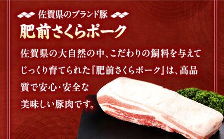 【定期便】 豚肉 ブロック 総計2.25kg NAC613 豚肉 全3回