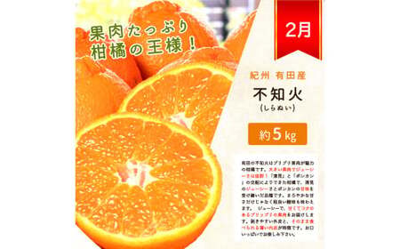 【全3回】柑橘定期便(みかん・不知火・清見オレンジ)【tkb384】