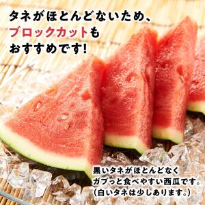 【先行予約 2026年6月下旬以降発送】 大玉 スイカ げん喜玉 西瓜 3Ｌ（1玉）|スイカ