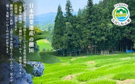 【令和8年産先行予約】【10月初旬発送】平泉町産特別栽培米 ひとめぼれ10kg【mih003A】