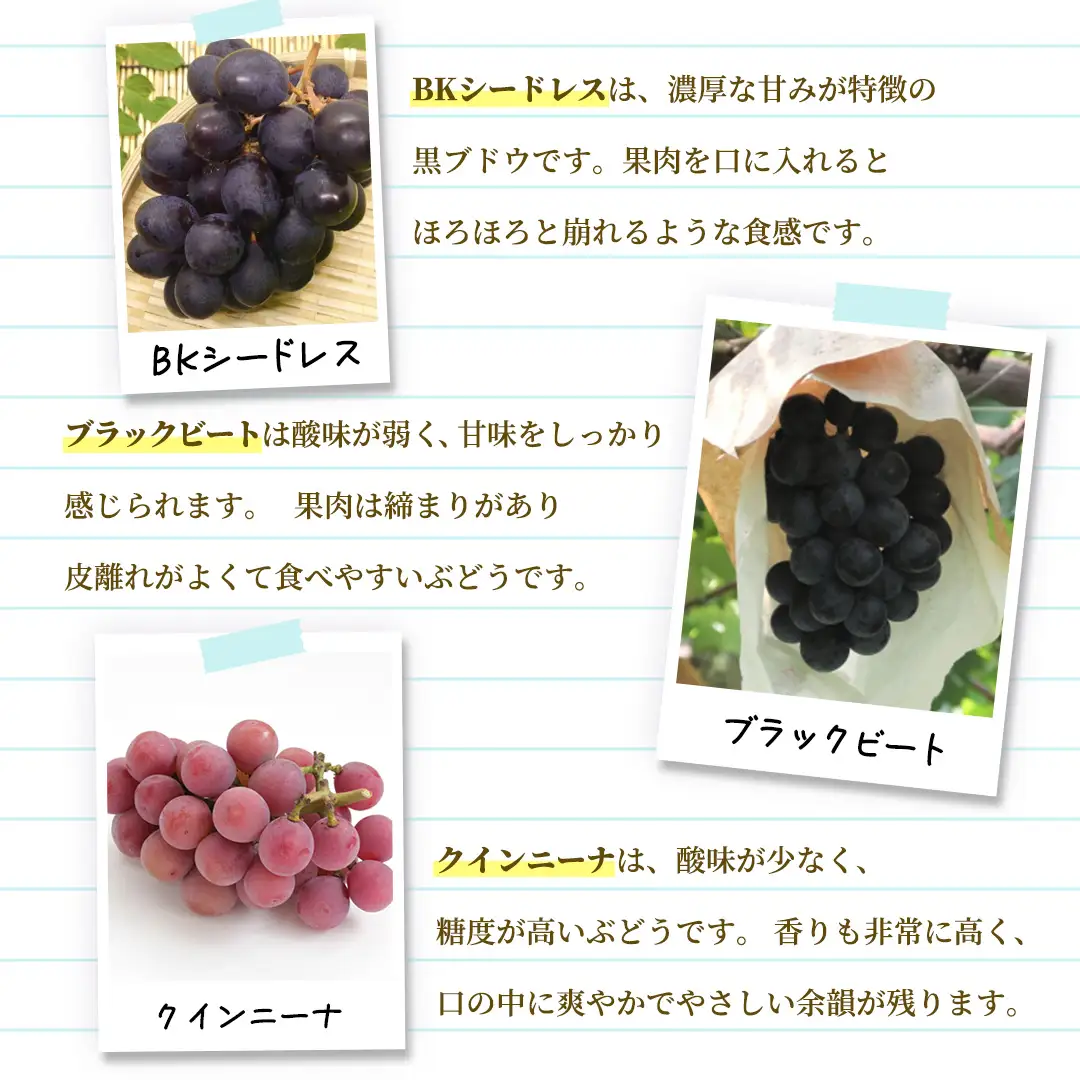 ＼訳あり ご家庭用／大粒ぶどう（種なし）詰合せ 合計 3～5房入 (DM004)