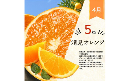 【全3回】和歌山旬のフルーツ定期便 (みかん・清見オレンジ・桃)【tkb381】