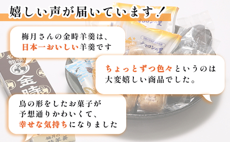 【熨斗対応】御菓子司梅月　銘菓詰め合わせセット（5種13個入）【1110701】