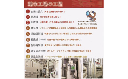 無洗米　こしひかり　5kg　令和7年産　岡山県産　米　【最短２〜７営業日出荷】　上-12