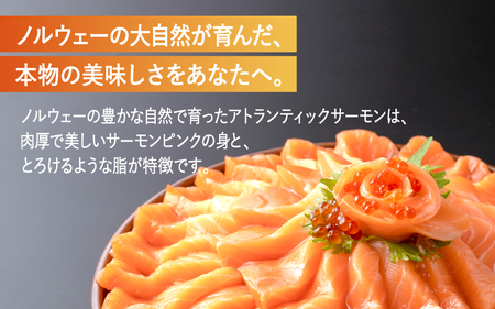 【最速発送】 アトランティックサーモン 900g / サーモン