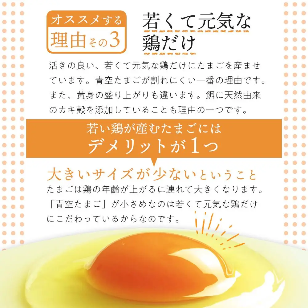 有田の青空たまご ササキのたまご MSサイズ 108個入