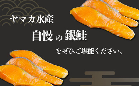 銀鮭  切り身 約1.0kg 銀鮭