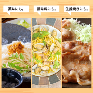 うまくて生姜ねぇ!!生姜焼き専用12本セット 【しょうが 国産 醤油漬け しょうが焼き タレ ごはんのお供 調味料 薬味 隠し味 猪苗代町 福島県】