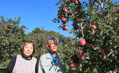 2026年産 りんご 長野 特選 贈答用 サンふじ 10kg （24～36玉） 産地直送 ギフト プレゼント 贈答 贈答品 贈り物 フルーツ 果物 デザート おやつ サンフジ 林檎 秋 旬 旬の果物 信州 長野県 長野県産