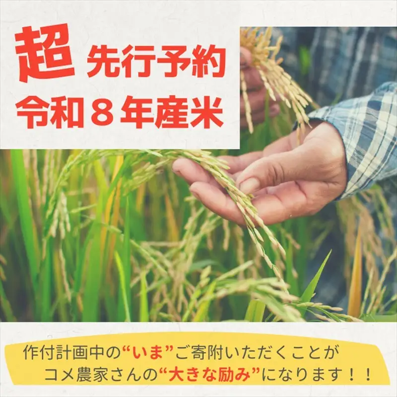 【精米したて！】 令和8年産 新潟県上越市産 みずほの輝き 定期便 5kg×6回 30kg  新米 先行予約 蛍の里