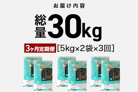 【3ヶ月 定期便 】令和7年産 コシヒカリ 10kg (5kg×2袋) 計30kg FH-008 