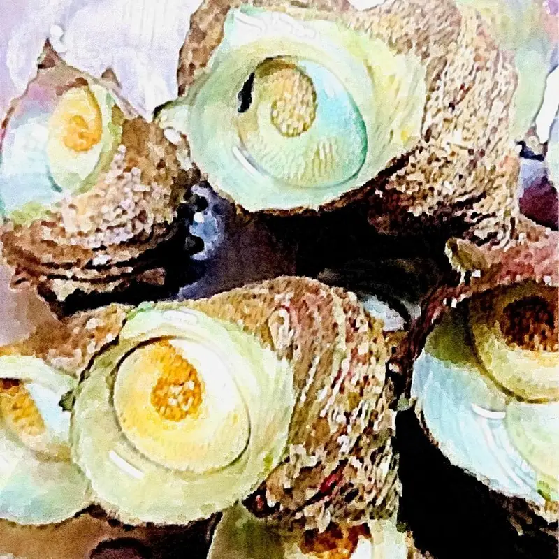 【炊き込みご飯】丹後サザエめし190g×3 炊き込みご飯