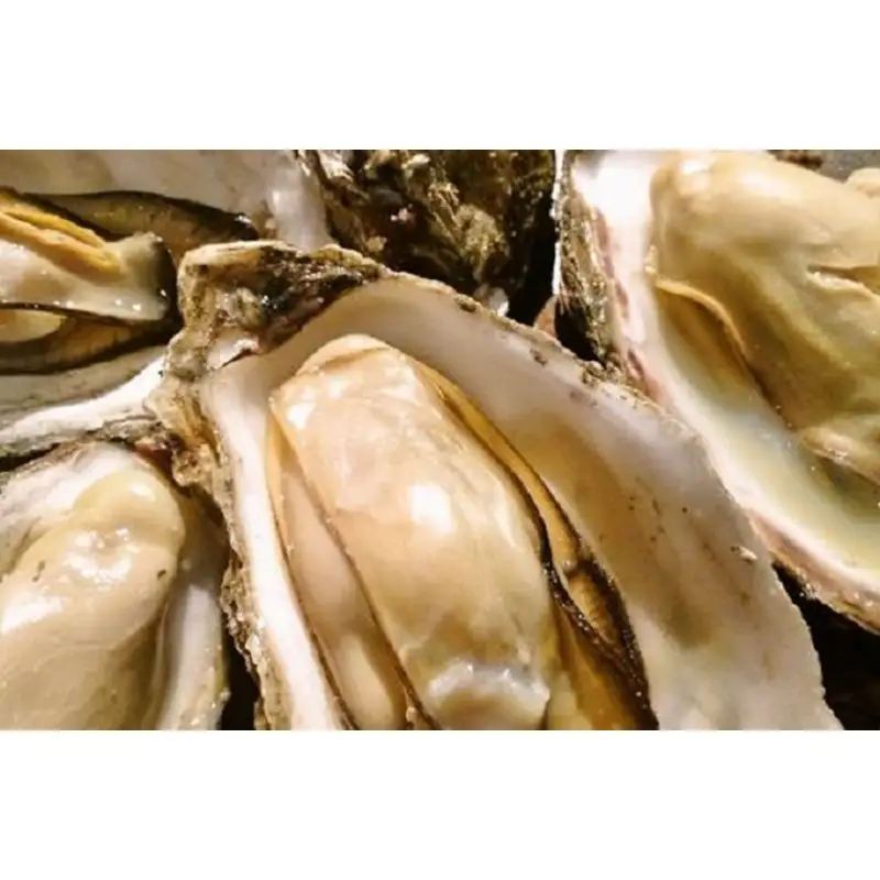 レンジでポン！久美浜の牡蠣めし(190g×3個)