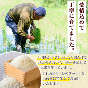 鹿児島県産のお米 ひのひかり(計5kg) 国産 白米 自社精米 ご飯 おこめ おにぎり お弁当 ひのひかり【谷口ファーム】akn064-03