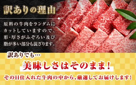 【全12回定期便】【訳あり】【A4～A5ランク】長崎和牛 焼肉切り落とし 1kg（500g×2パック）(肩ロース・バラ）《壱岐市》【株式会社MEAT PLUS】 肉 牛肉 黒毛和牛 焼き肉 焼肉 焼肉用 ギフト 贈答用 冷凍配送 A4 A5 [JGH122]