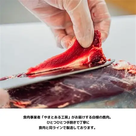 【毎月定期便】食いつき抜群!天然鹿肉GOOD MEAL ONE! 鹿肉ジャーキー 全6回【4011640】