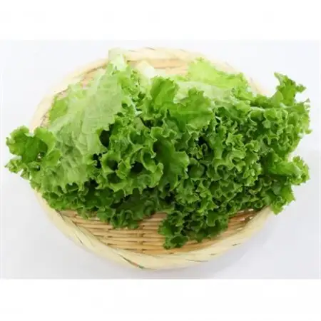 カリウムが気になる方へ!生で食べられます!低カリウム野菜「Dr,ULHA」おすすめ10袋セット【配送不可地域：離島】【1314826】