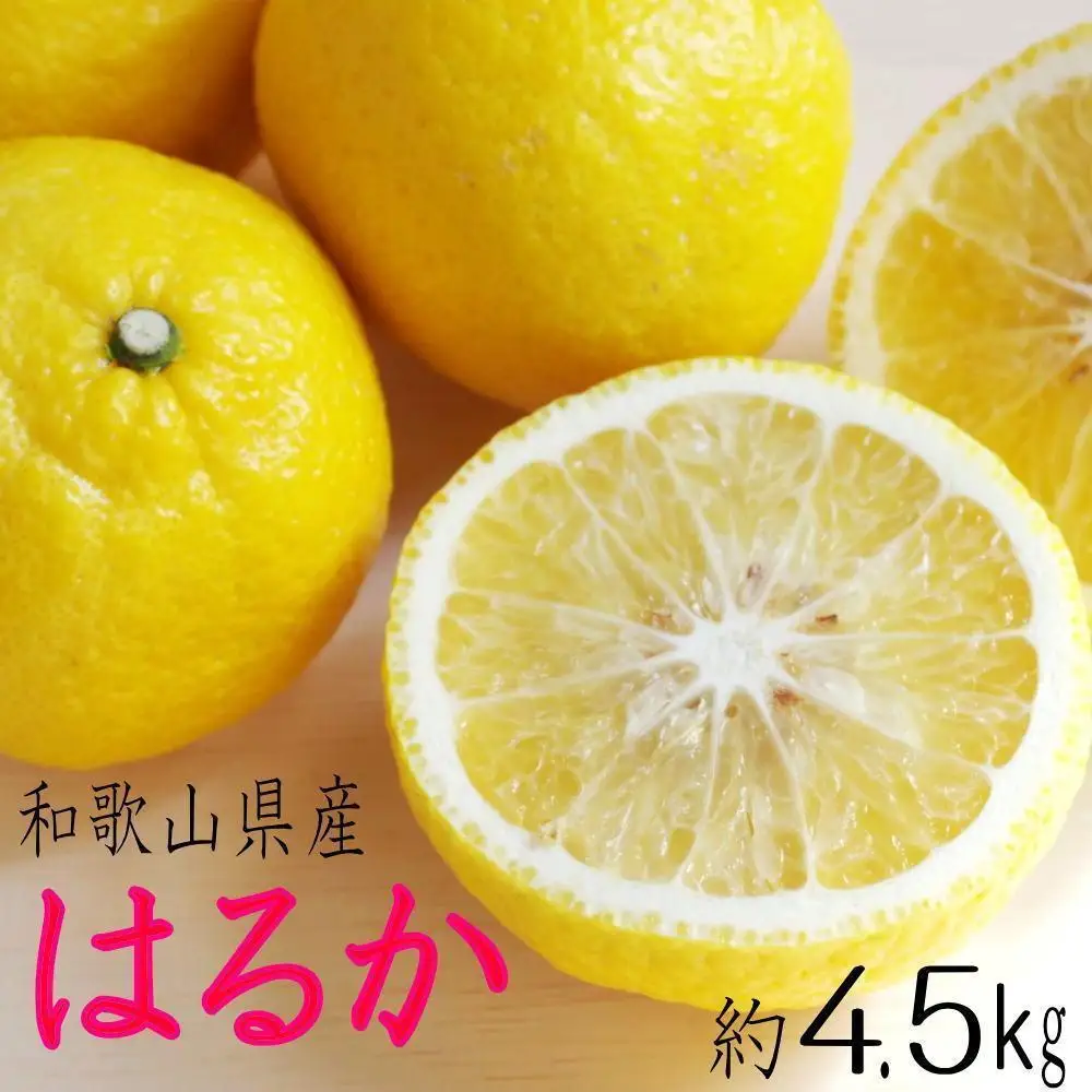 定期便全3回 【2月・3月・4月発送】 和歌山の春の柑橘 （ポンカン・はるか・ブラッドオレンジ）秀品【TM173】