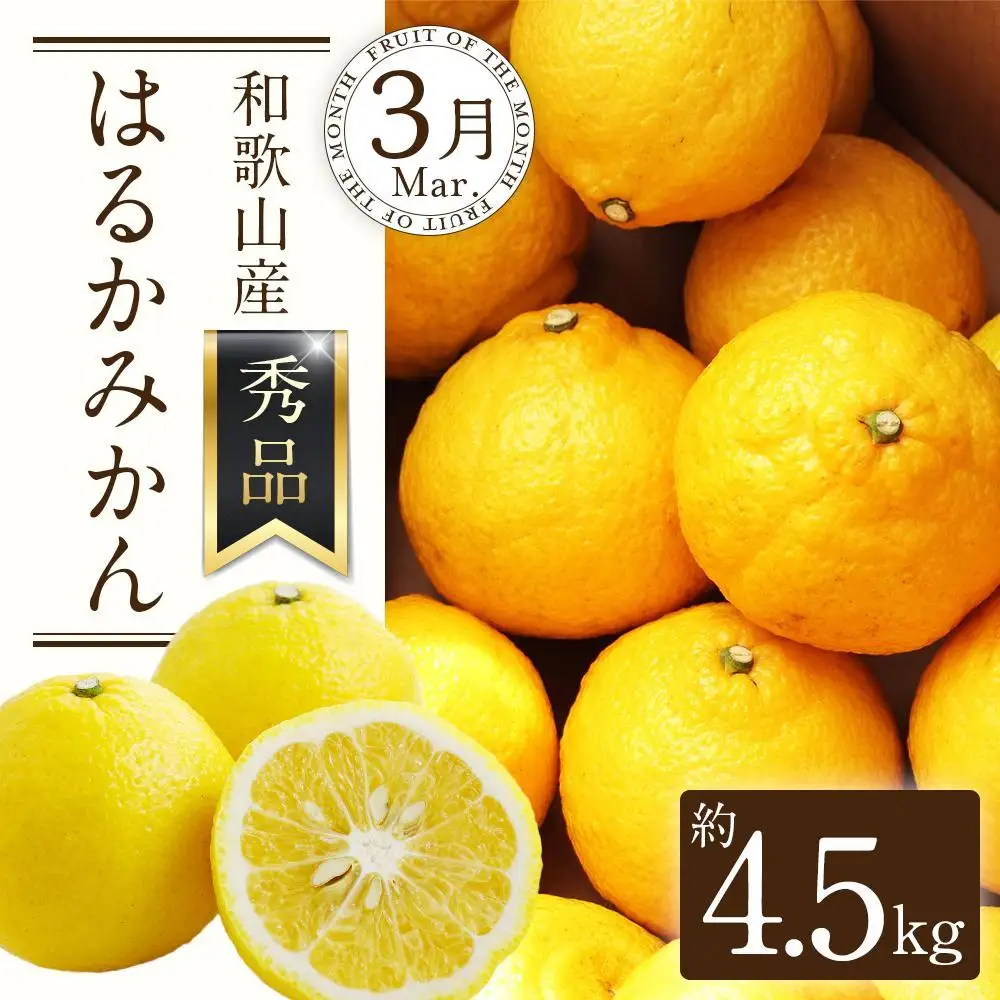 定期便全3回 【2月・3月・4月発送】 和歌山の春の柑橘 （ポンカン・はるか・ブラッドオレンジ）秀品【TM173】