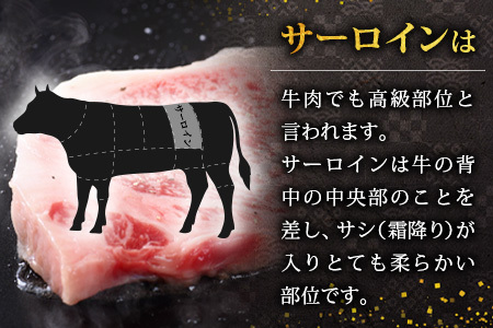宮崎県産 椎葉牛 サーロインステーキ 200ｇ×2枚 計400g 牛肉 肉 精肉 ステーキ サーロインステーキ 和牛 黒毛和牛 TK-84