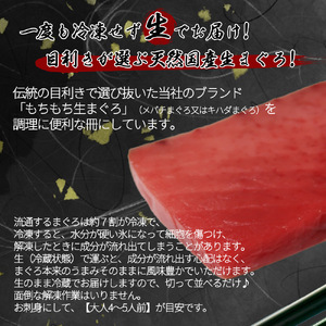那智勝浦直送！天然生まぐろ 柵 500g【UT101】【uot806】