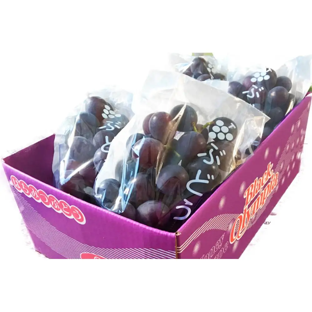 紀州有田産 ブラックオリンピア (ハチミツぶどう) 約2kg［2026年8月中旬以降発送予定］［UT107］