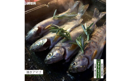 高原からの贈り物「まんてんスパイス 森のクロモジ」｜調味料 オリジナルブレンド ブレンドスパイス キャンプ飯※着日指定不可※離島への配送不可