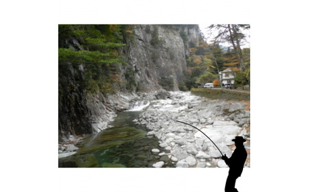 アウトドア イベント 体験 「面河川の鑑札（遊漁券）：石鎚山から仁淀川に繋がる清流 ”面河川” での渓流釣り（腕章B）」｜家族 旅行 男の子 女の子 夏休み 長期休暇  愛媛 久万高原町