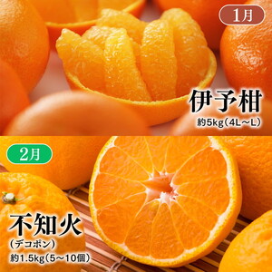 【定期便】【愛媛県共通返礼品】愛媛のかんきつ定期便（全6回）（日の丸みかん・紅まどんな・伊予柑・不知火・せとか・河内晩柑) ｜ みかん 蜜柑 日の丸みかん 紅まどんな 伊予柑 不知火 デコポン せとか ※2026年11月～発送