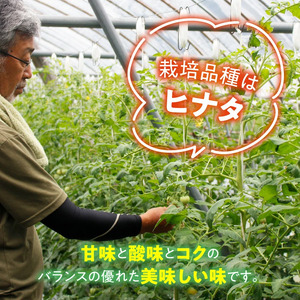 【家庭用】石墨清流 トマト 4kg｜糖度9～11度 そのままでも 美味しい 久万高原町 トマト とまと 自然栽培 野菜 カレー トマトソース 濃縮 ヒナタ 安心 酸味 甘味 清流 料理 農家 旨み サンドイッチ 新鮮 煮込み 料理 アレンジ 美味しい 手作業 人気 ギフト プレゼント 自然 小長谷勝也 愛媛 ※離島への配送不可 ※2026年7月下旬頃より順次発送予定