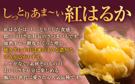 紅はるか サツマイモ 芋 5kg サイズ混合 2L-2S 弐番屋《11月上旬-2月中旬頃出荷》鹿児島県 さつま町 送料無料 さつまいも イモ 野菜 スイーツ お取り寄せグルメ