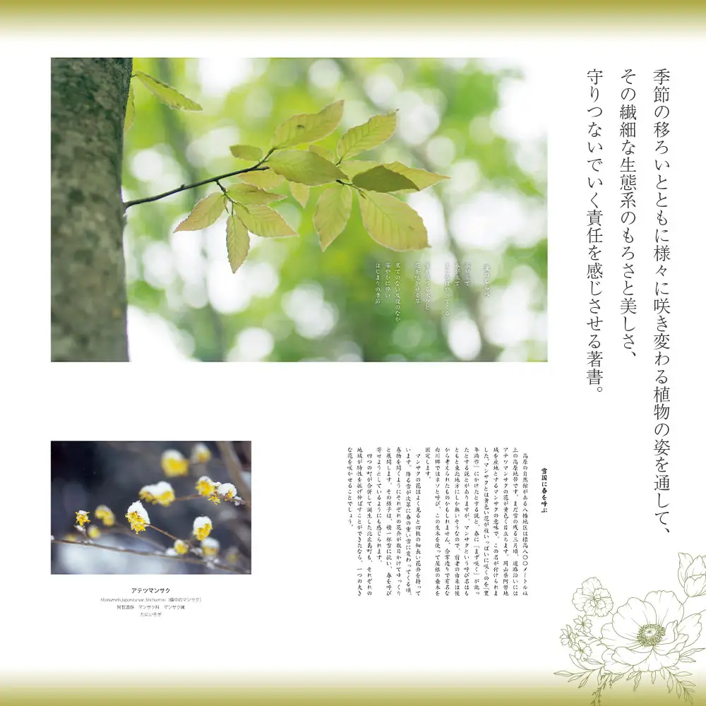 八幡高原のフォトエッセイ『花だより』（季節のポストカード付き）_NI022_002