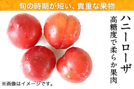 抜群の糖度と爽やかな酸味♪ハニーローザアイスクリーム＆ハニーローザシャーベット 120ml×各4個 《60日以内に出荷予定(土日祝除く)》熊本県玉名郡玉東町 すもも ハニーローザ アイス ぷらっとぎょくとう