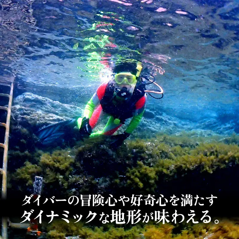 利用券 3,000円分 越前海岸国定公園 『海辺の小さな手作りリゾート ECHIZEN LOG（えちぜんログ）』絶景日本海！越前の海を楽しむ マリンアクティビティ 体験・宿泊・飲食 福井県 越前町【 2年間 有効期限 ダイビング マリン カヤック サップ RV 車 パーク ウミウシ 体験 宿泊 越前かに 券 海の幸 カニ料理 蟹 魚介 かに 蟹 海産物 満腹グルメ 】 [e33-a001]