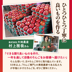 《先行受付》【2027年2月発送予定】 サンふじ約5kg・秀品【大江町産・山形りんご・大地農産】 028-030