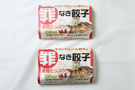 【最高級Bigれんこん珠美使用】冷凍罪なき餃子（20g×15個入）2パックセット 餃子 れんこん ギョウザ レンコン ぎょうざ 蓮根 冷凍 パック セット 保存 おかず 惣菜 国産 77-E