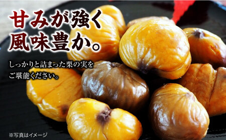 栗 3kg【9月下旬から配送開始】栗[AGAR006]