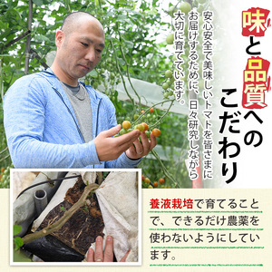カラフルトマト食べ比べセット(約1kg)  国産 野菜【KT-9】【K.Tfarm】
