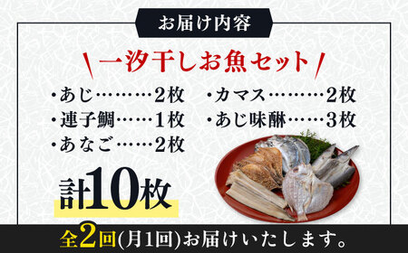 【全2回定期便】対馬 一汐干し お魚 セット 10枚 新鮮 アジ 穴子 カマス 連子鯛 干物 海産物 朝食 冷凍 [WAI103]