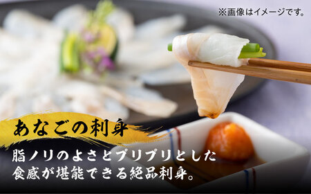 【全2回定期便】対馬産 べっぴん あなご 詰め合わせ  対馬 新鮮 ふわふわ 穴子 刺身 海産物 魚介 冷凍配送 [WAQ016]