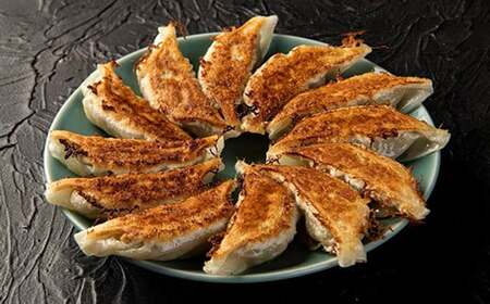 杵築ぎょうざ小春の青しそぎょうざ 40個 冷凍 餃子 人気 国産 ぎょうざ ギョーザ ＜152-002＞