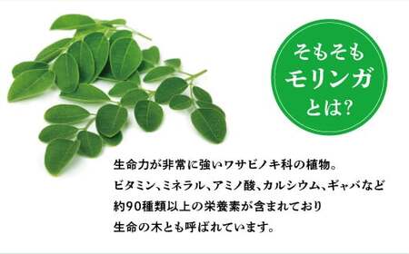 金ちゃんちのモリンガパウダー (50g×４袋)